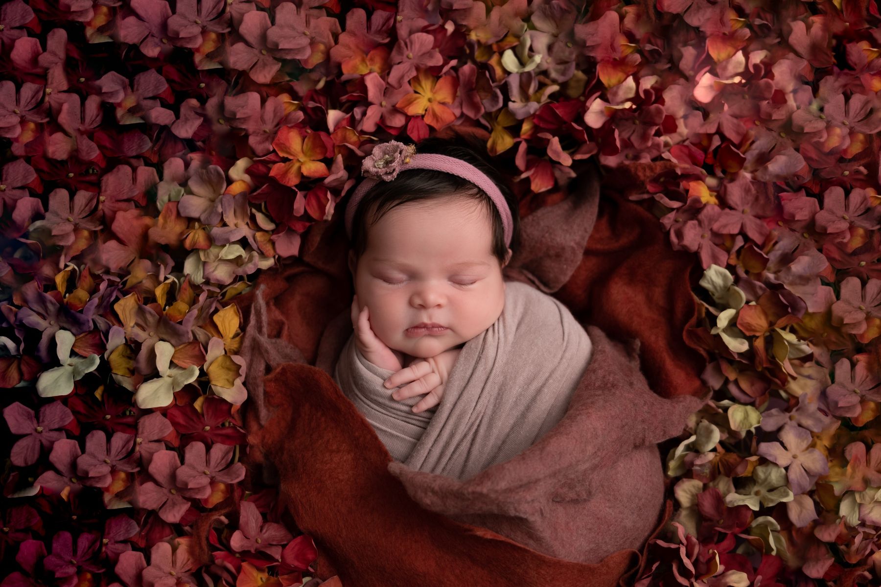 צילום ניו בורן בין פרחים בגווני סתיו